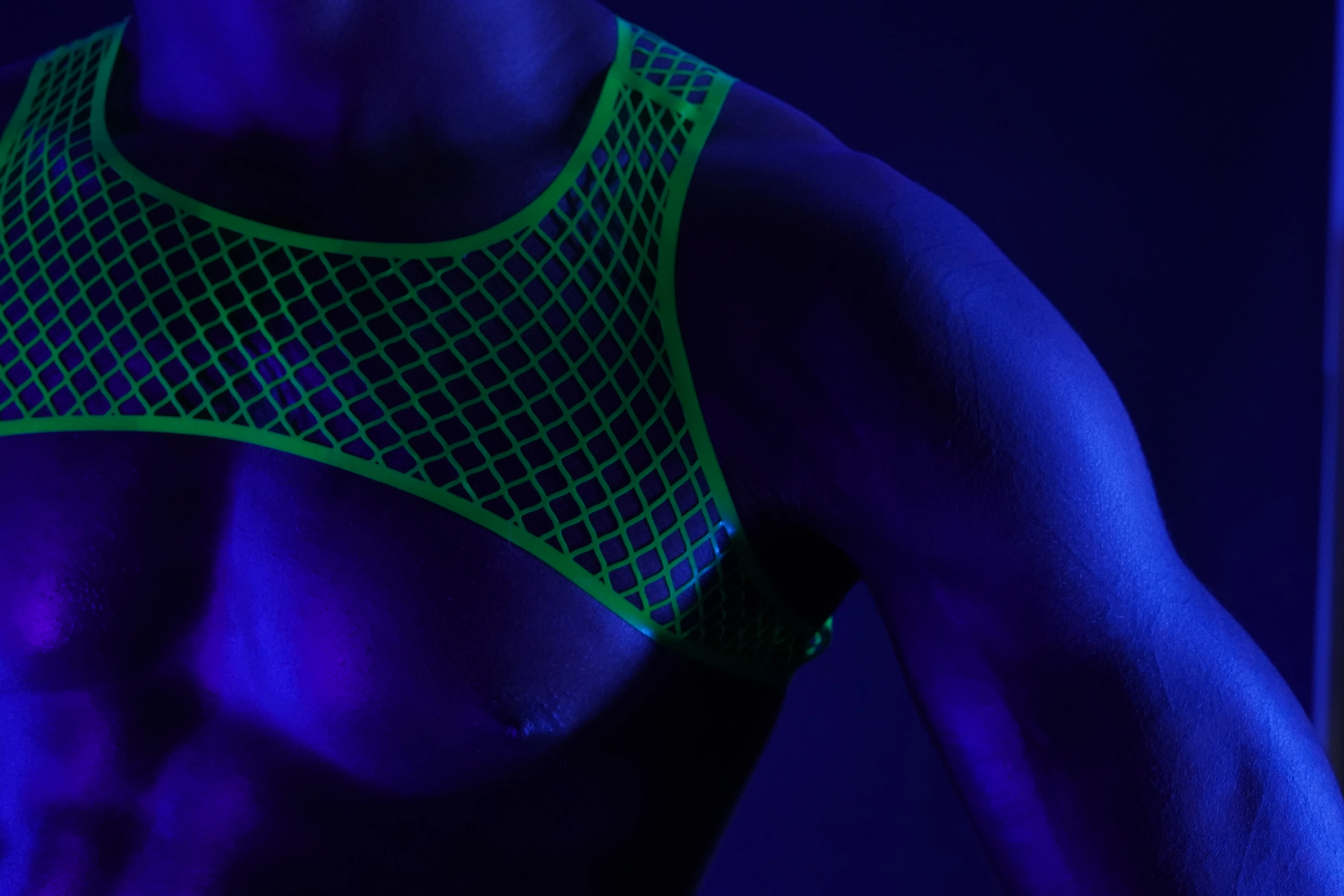 Comet Fishnet Harness - Image 3