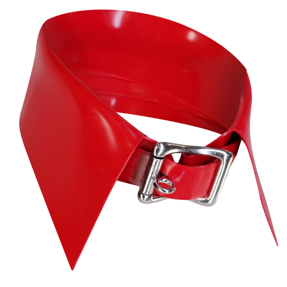 Lock Collar - Image 8